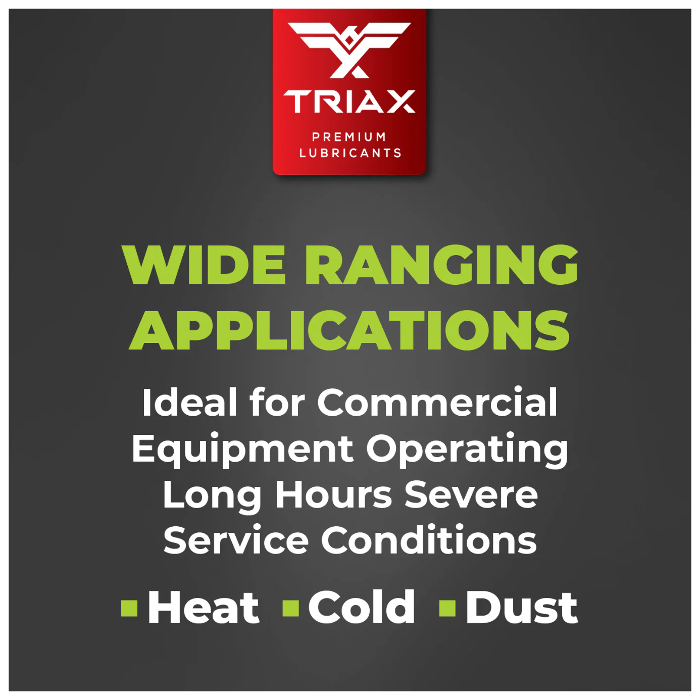 TRIAX Power 4-Stroke 30W Synthetic - Image 12